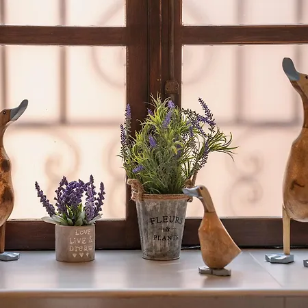 Apartment Dreams On Port Chania (Crete)