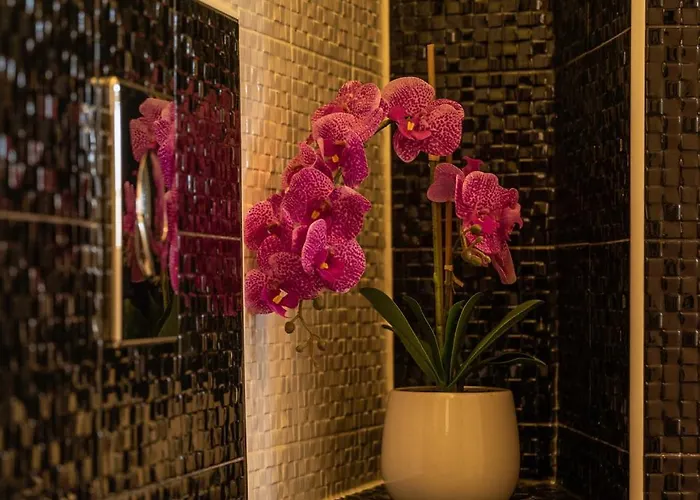 Dreams On Port Apartment